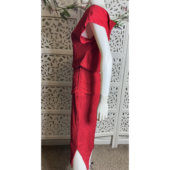 Vintage Roberta California Women’s Red Plisse Formal Dress Size 10 - Picture 9 of 11